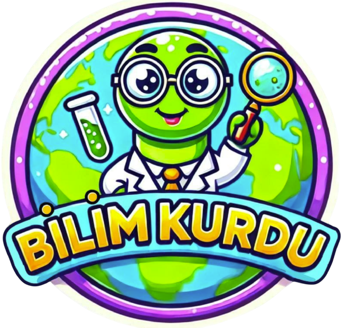 E-ticaret sitesi tasarımı