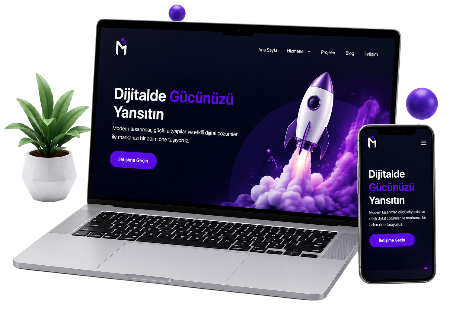 Web Tasarım